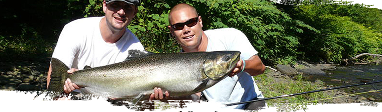 Fox Hollow Salmon River Lodge: Amazing Steelhead Fishing!